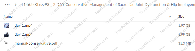 2 DAY: Conservative Management of Sacroiliac Joint Dysfunction & Hip Impingement By Kyndall Boyle - PESI Free Download