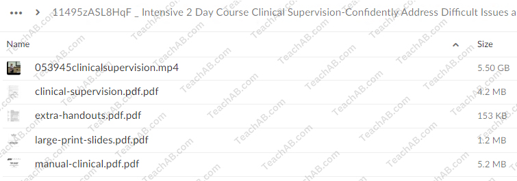 Intensive 2 Day Course: Clinical Supervision-Confidently Address Difficult Issues and Build a Foundation for Success By Lois Ehrmann - PESI Free Download