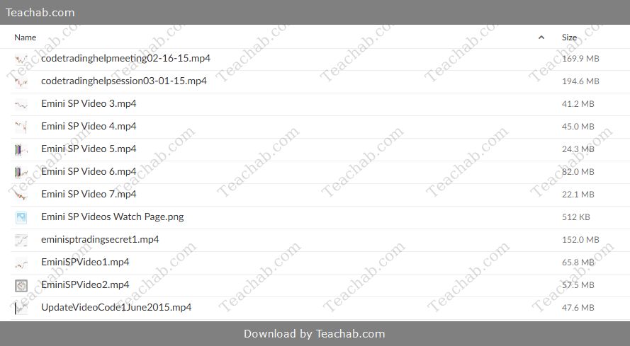 Emini SP Trading Secret Video Course Free Download