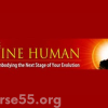 the-divine-human-by-andrew-harvey-the-shift-network-free-download