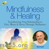 mindfulness-healing-by-bob-stahl-the-shift-network-free-download