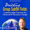 building-group-subtle-fields-by-david-nicol-the-shift-network-free-download