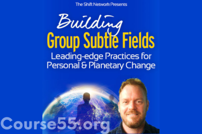building-group-subtle-fields-by-david-nicol-the-shift-network-free-download